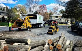 Lawn Pest Prevention in Orcutt, CA